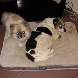 Meet your Posher, Rhonda